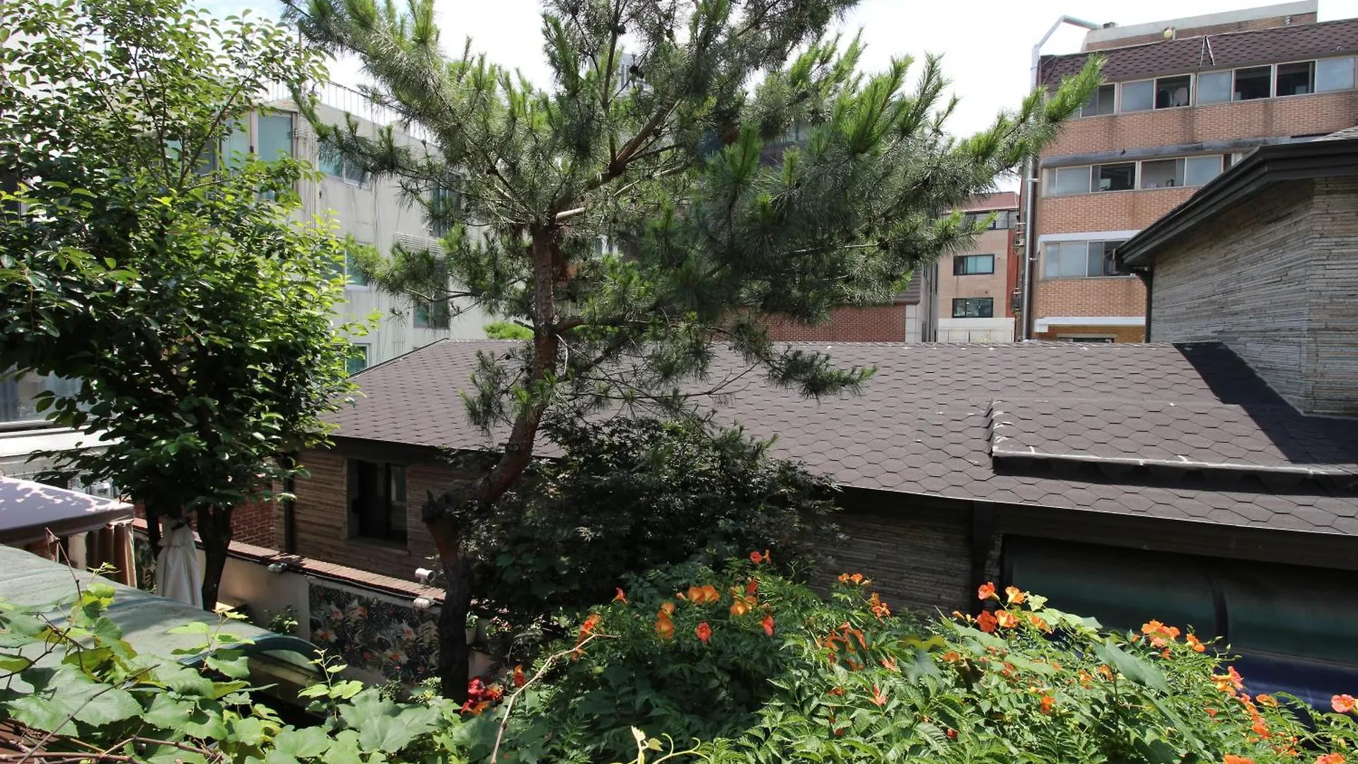 ** Guest house Bunk Guesthouse Hongdae Seoul South Korea